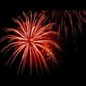 Meet your Posher, Janie